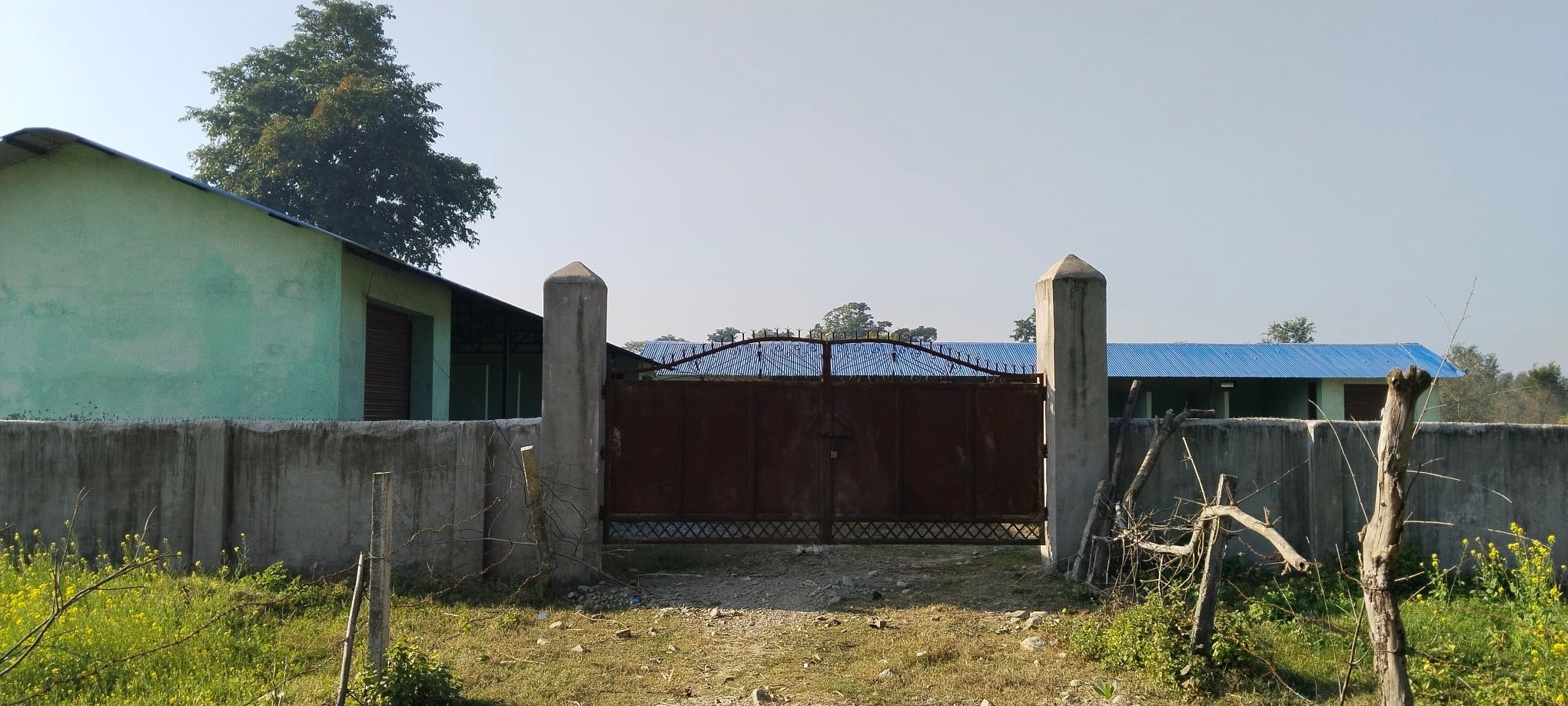 ghodaghodi hat bazar.jpg